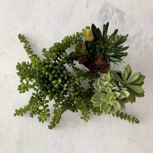 [SOLD] West Elm Faux Succulents (Set of 3)